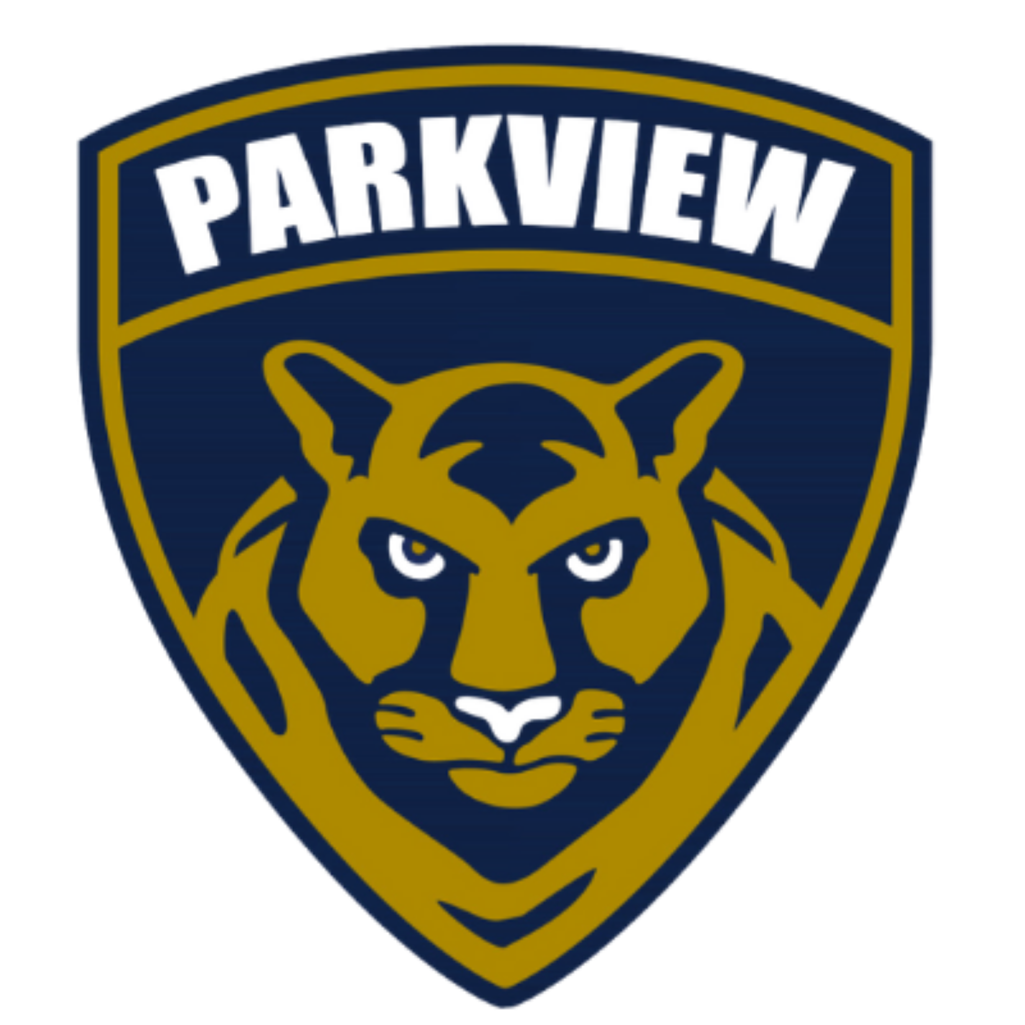 Parkview Boys Flag Football